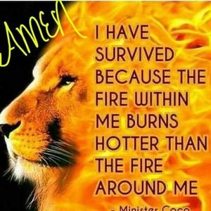 Meet your Posher, Dawn